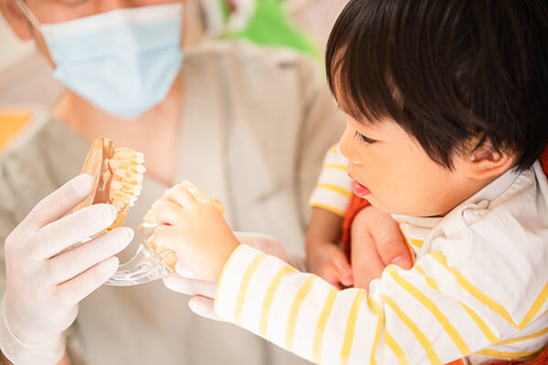 愛するお子様の健康な歯を守るために